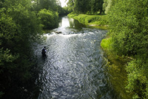 Guide de pêche aux leurres en Haute-Marne